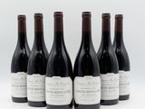 six bouteilles de vin sont alignées sur une surface blanche