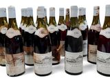 plusieurs bouteilles de vin sont alignées sur une surface blanche