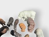 many different types of animal figurines arranged in a circle
