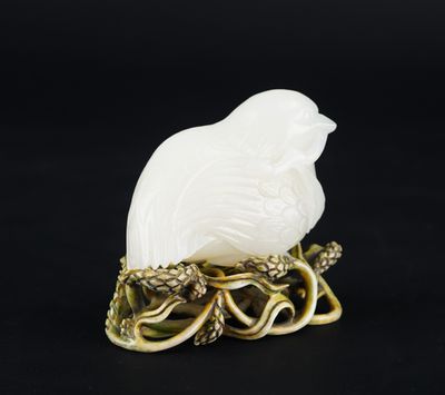 un oiseau blanc perché sur une branche d'arbre