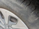 a cat that is sitting on the ground next to a car tire