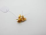 un petit insecte posé sur une surface blanche