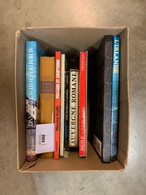 [Tourisme] Un carton de LIVRES et BEAUX-LIVRES, dont "Saint-…