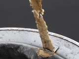 a bird that is sitting in a bowl with a piece of wood sticking out of it