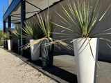 three potted plants sitting on the side of a building