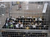 a metal cage filled with bottles of beer in a warehouse