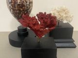 two vases that have been placed on a table