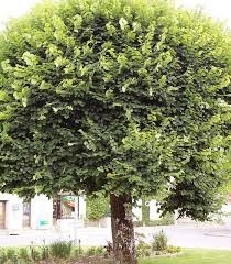 Destockage & Invendus