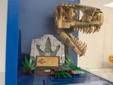 l'exposition d'un squelette de dinosaure dans une vitrine