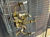 a bird in a cage that is hanging on the wall
