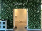 a green wall that has plants growing on the side of it