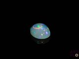 an oplite in the dark with a black background