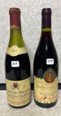 deux bouteilles de vin posées l'une à côté de l'autre sur un comptoir