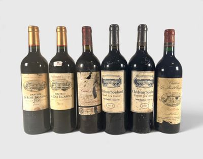six bouteilles de vin sont alignées sur une surface blanche