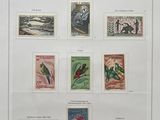a picture of a collection of postage stamps on display
