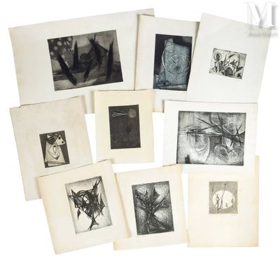 several black and white photographs of a cat and other animals
