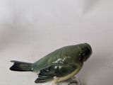 a small green bird sitting on top of a white table