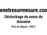 Photo 1/1 du lot