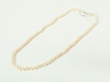 a single strand of pearls on a white background
