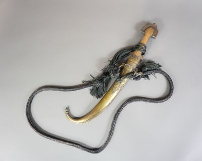 un serpent enroulé autour d'une longue corne sur une surface blanche