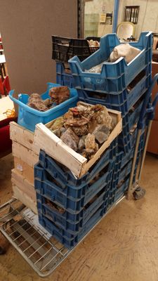 a cart full of food that is sitting on the floor