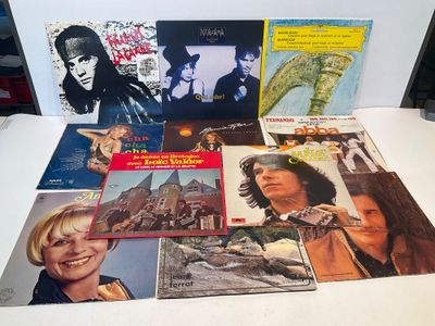 beaucoup de disques vinyles sur la table