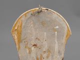 an image of a white and yellow vase with a spider on it