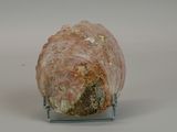 a rock that is sitting on a stand on a white surface