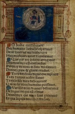 un gros plan d'un livre sur lequel figure l'image d'un phoque
