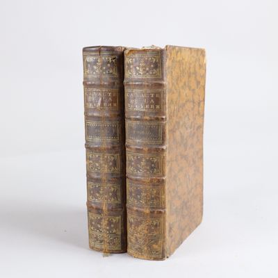 deux vieux livres posés l'un sur l'autre sur une surface blanche