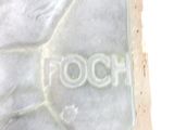 a close up of the word pooch written on the stone