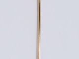 an image of a gold pin with a flower on it