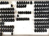 a lot of small black bugs on the wall