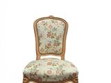 a close up of a chair with a floral pattern on it