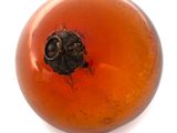 a close up of an orange with a hole in it