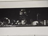 photographie en noir et blanc représentant une nature morte composée de fruits et de fleurs