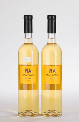 deux bouteilles de vin blanc posées l'une à côté de l'autre sur une table