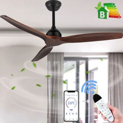 une personne tenant une télécommande devant un ventilateur de plafond