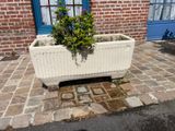 une jardinière posée sur un trottoir en briques