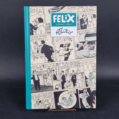 an image of a book with a comic strip on the cover