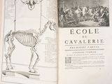 an open book with a drawing of a skeleton on it