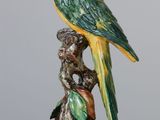 a green and yellow bird sitting on top of a rock