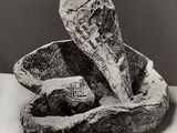 photographie en noir et blanc d'un serpent enroulé dans du papier journal, posé sur une table
