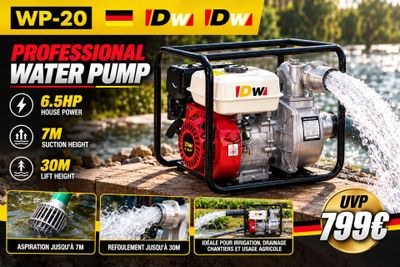 Pompe à eau professionnelle WP20 6,5 hp 6,5 hp 7,5 hp 7,5 hp 7,5 hp 7,5 hp 7,5 hp 7,5 hp 7 hp