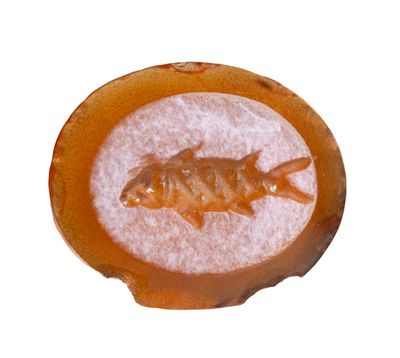 un poisson qui se trouve dans un bol rempli de sel