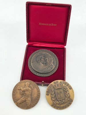 two gold medals in a red box on a white surface