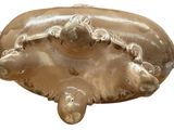an image of a sculpture of a turtle on a white background
