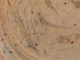 a close up of a plate with writing on it