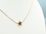 a gold necklace with a black star pendant on a mannequin