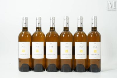six bouteilles de vin sont alignées sur une surface blanche